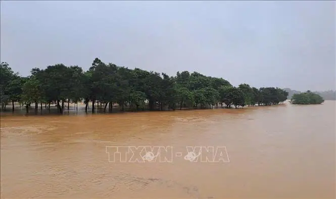 Đài PTTH Hà Nội